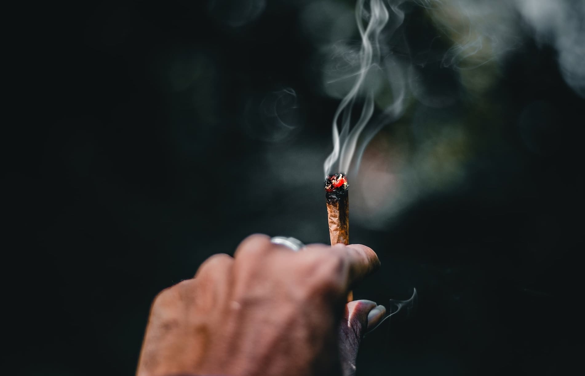 ahmed-zayan-4msfw7Pe1iU-unsplash